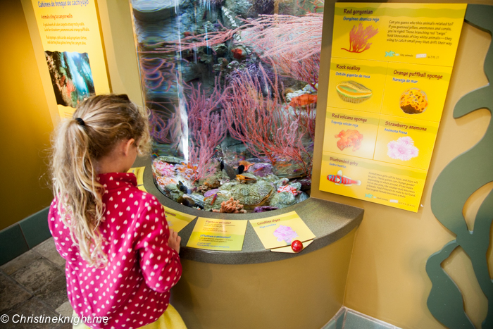 Monterey Bay Aquarium, Monterey, California, USA