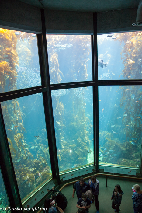 Monterey Bay Aquarium, Monterey, California, USA