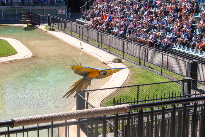 Australia Zoo, Queensland Australia