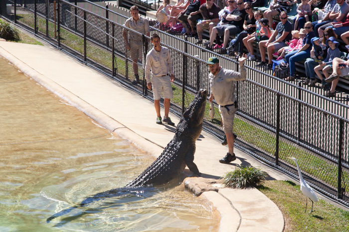 Australia Zoo, Queensland Australia