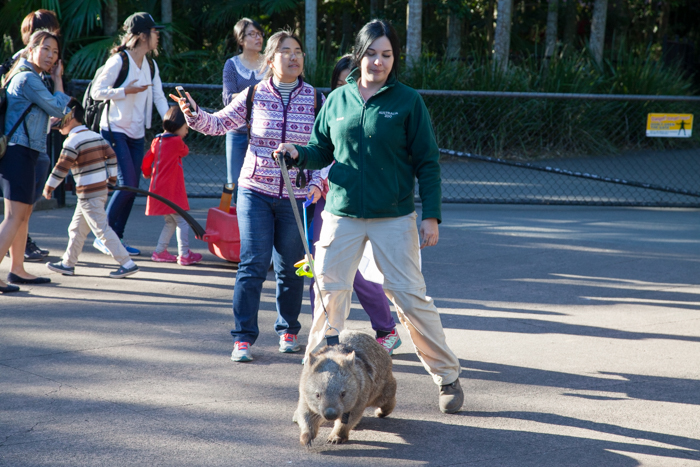 Australia Zoo, Queensland Australia