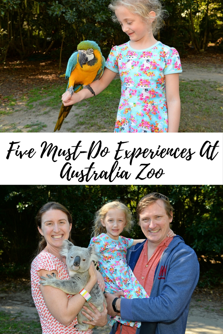 Five Must-Do Experiences At Australia Zoo - Adventure, baby!