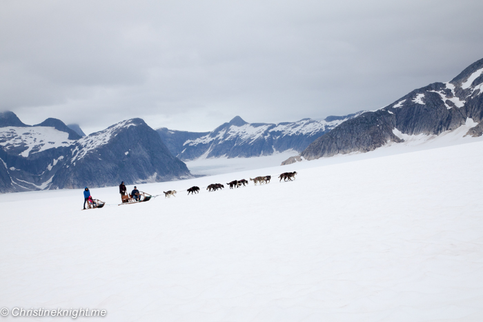 Dog Sledding In Juneau on the Norris Glacier Alaska