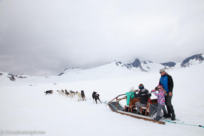 Dog Sledding In Juneau on the Norris Glacier Alaska