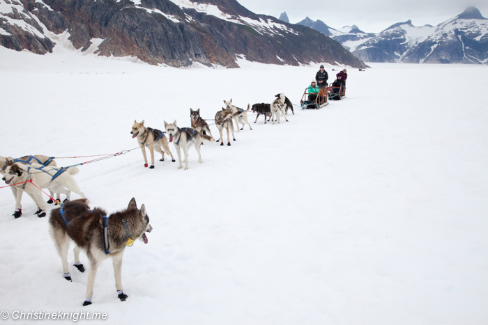 Dog Sledding In Juneau on the Norris Glacier Alaska - Adventure, baby!