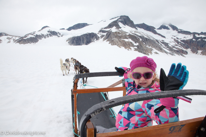 Dog Sledding In Juneau on the Norris Glacier Alaska