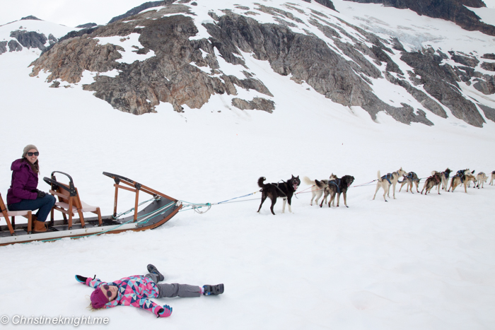 Dog Sledding In Juneau on the Norris Glacier Alaska