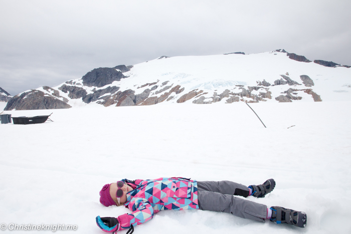 Dog Sledding In Juneau on the Norris Glacier Alaska