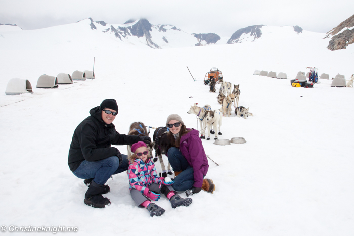 Dog Sledding In Juneau on the Norris Glacier Alaska