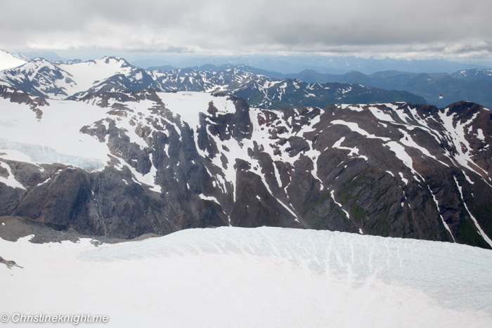 Dog Sledding In Juneau on the Norris Glacier Alaska