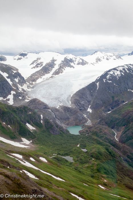 Dog Sledding In Juneau on the Norris Glacier Alaska