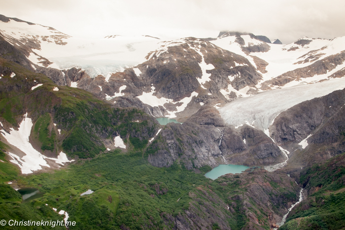 Dog Sledding In Juneau on the Norris Glacier Alaska