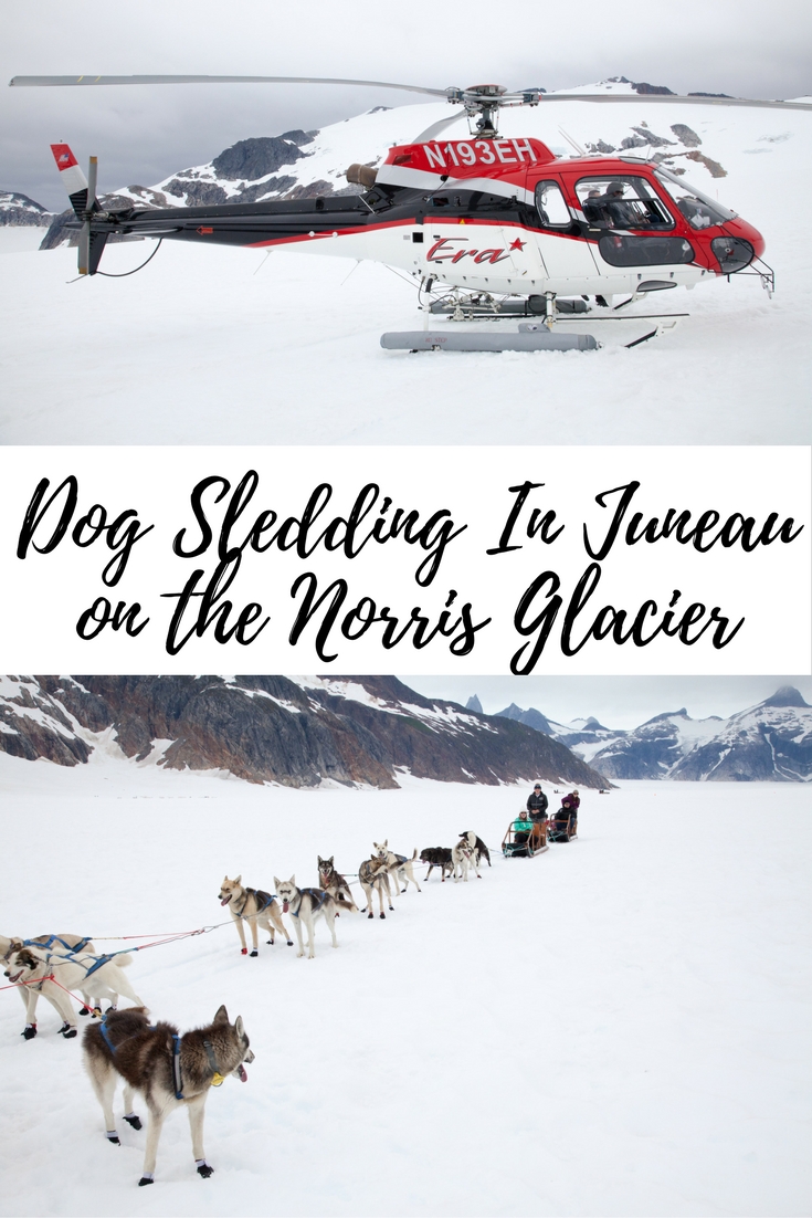 Dog Sledding In Juneau On The Norris Glacier