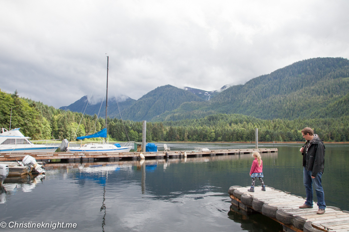 A Disney Cruise Port Adventure: Bear Watching at Neets Bay, Ketchikan Alaska