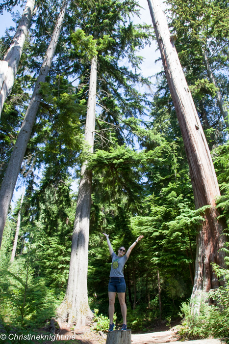 Stanley Park, Vancouver Canada