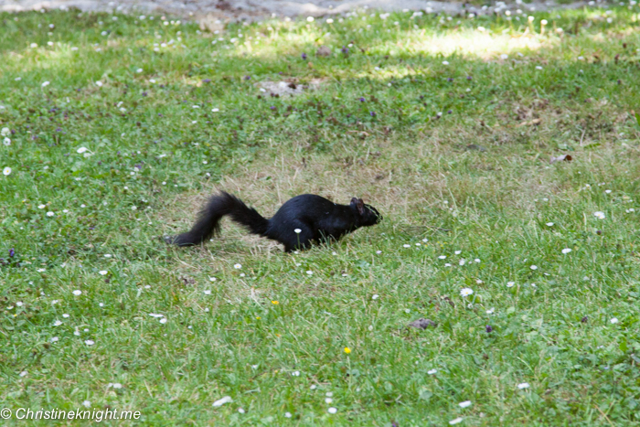 Stanley Park, Vancouver Canada