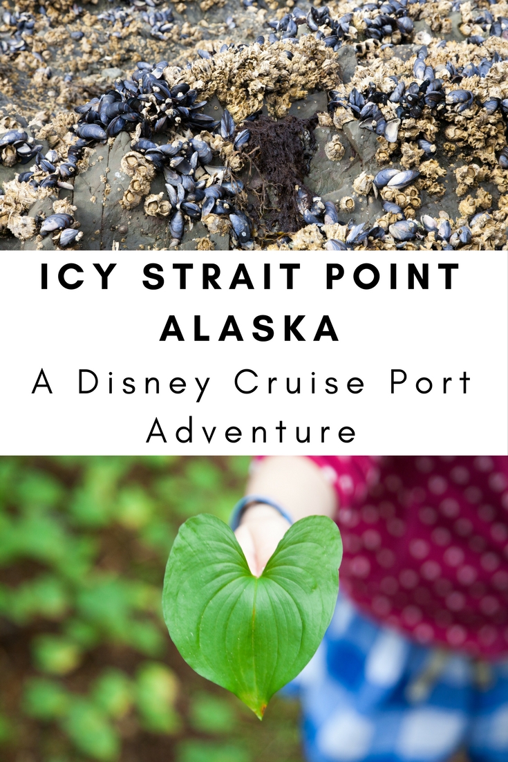 Icy Strait Point Alaska: A Disney Cruise Port Adventure