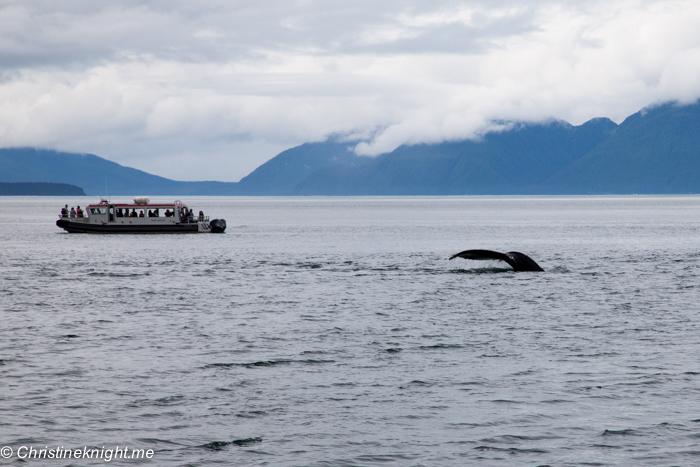 Icy Strait Point Alaska