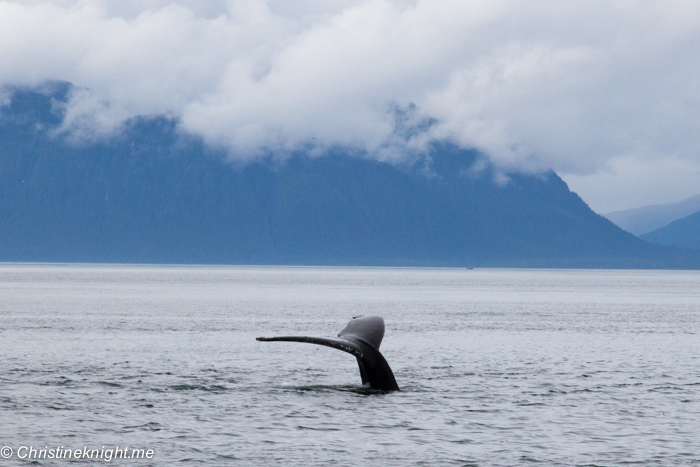 Icy Strait Point Alaska