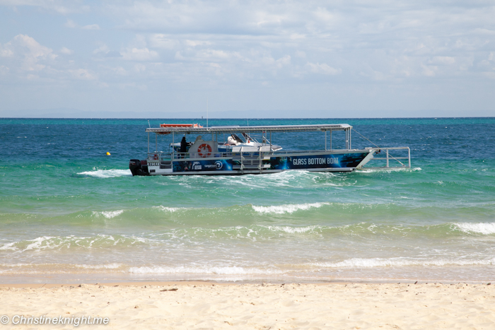 What To See And Do At Tangalooma Island Resort, Moreton Island, Queensland