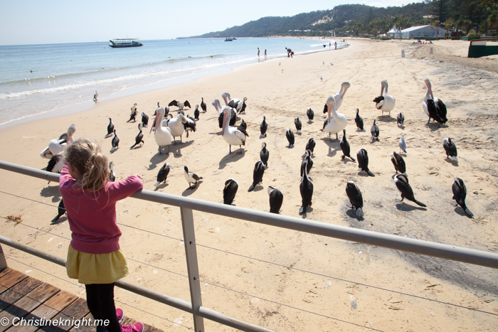 What To See And Do At Tangalooma Island Resort, Moreton Island, Queensland