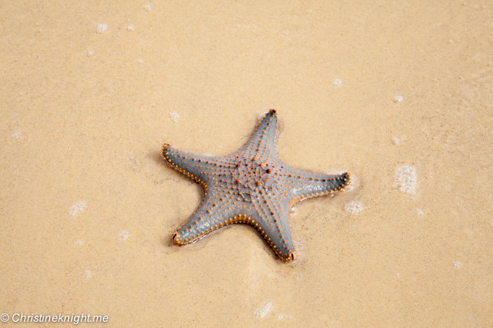 What To See And Do At Tangalooma Island Resort, Moreton Island, Queensland