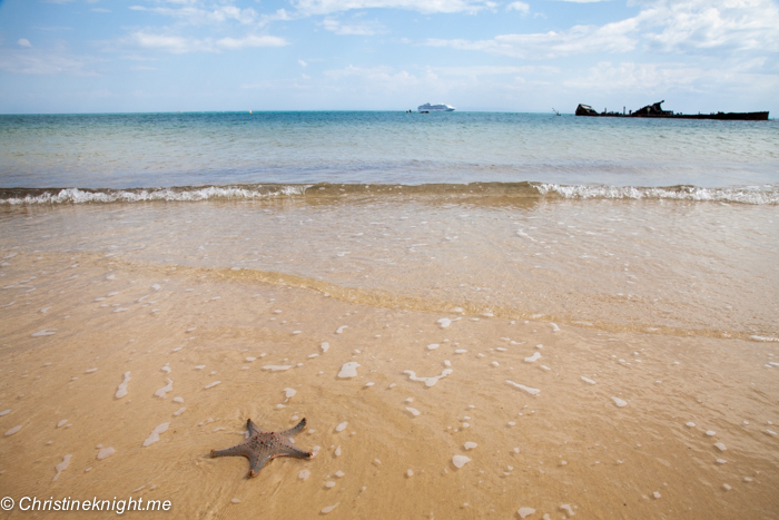 What To See And Do At Tangalooma Island Resort, Moreton Island, Queensland