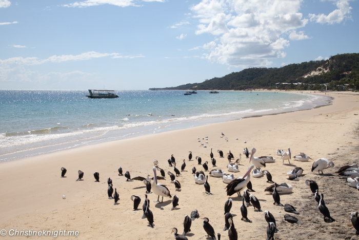 What To See And Do At Tangalooma Island Resort, Moreton Island, Queensland