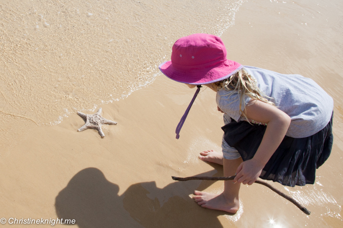 What To See And Do At Tangalooma Island Resort, Moreton Island, Queensland