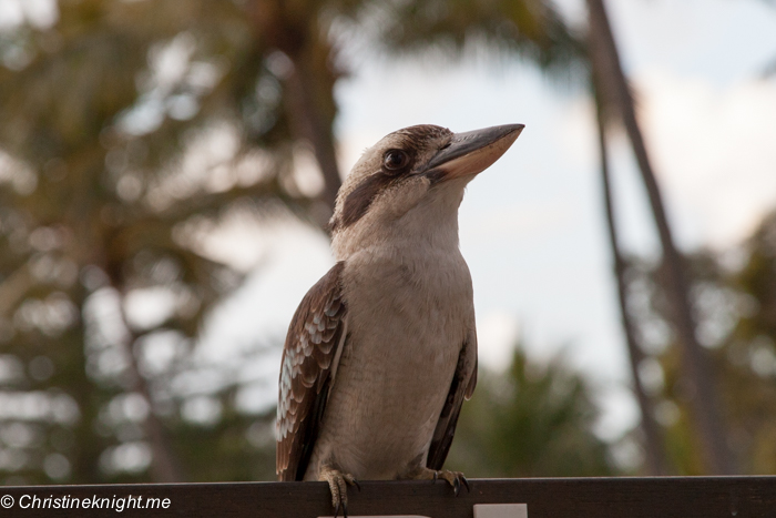 What To See And Do At Tangalooma Island Resort, Moreton Island, Queensland