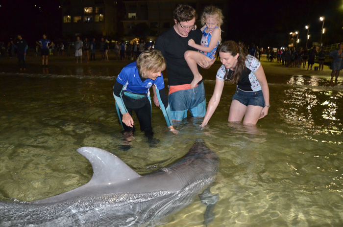 What To See And Do At Tangalooma Island Resort, Moreton Island, Queensland