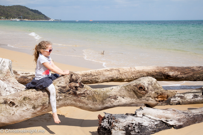 What To See And Do At Tangalooma Island Resort, Moreton Island, Queensland