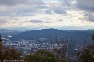 Mount Ainslie Lookout Top Things To Do In Canberra Adventure Baby