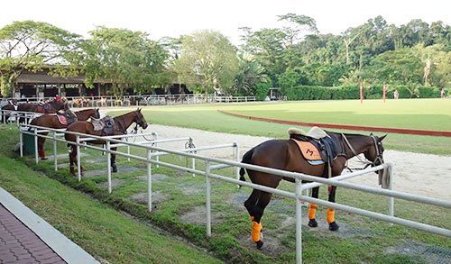 Singapore Polo Club - Brunch With My Baby Singapore