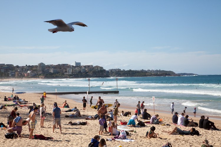 #Manly #Beach #Sydney With Kids via brunchwithmybaby.com