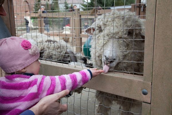 Prospect Park Zoo