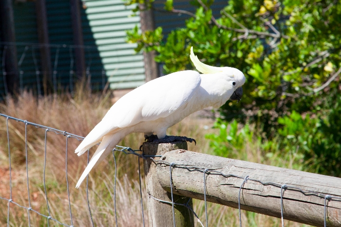 #Symbio #Wildlife Park via brunchwithmybaby.com