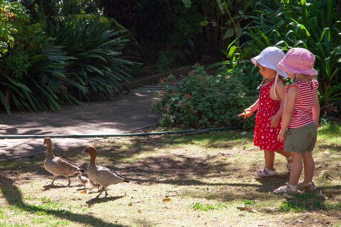 The #Teahouse #Camellia #Gardens, #kidfriendly #restaurants #Sydney via brunchwithmybaby.com