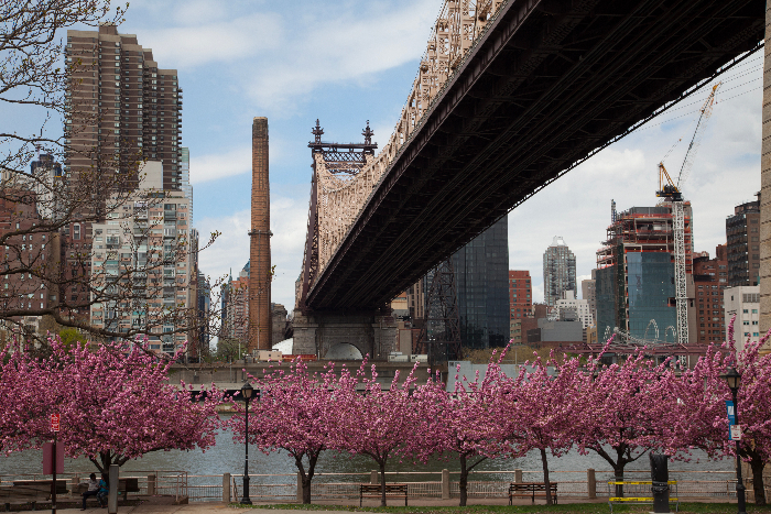 #RooseveltIsland Day Trip via brunchwithmybaby.com