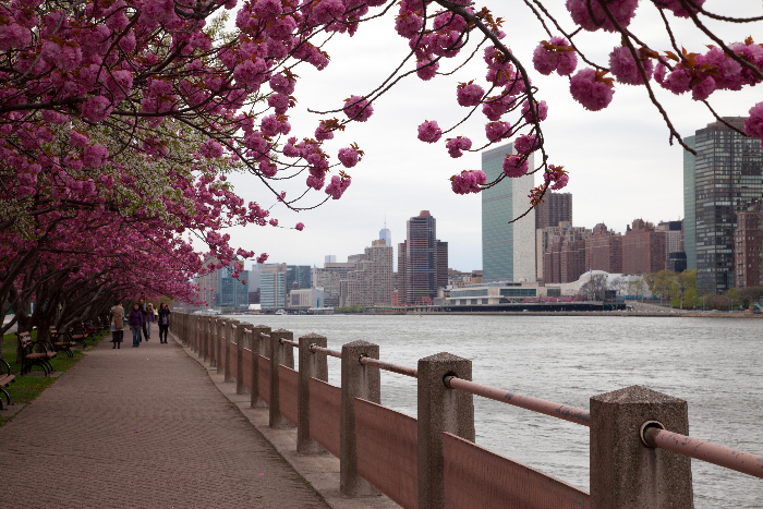 #RooseveltIsland Day Trip via brunchwithmybaby.com