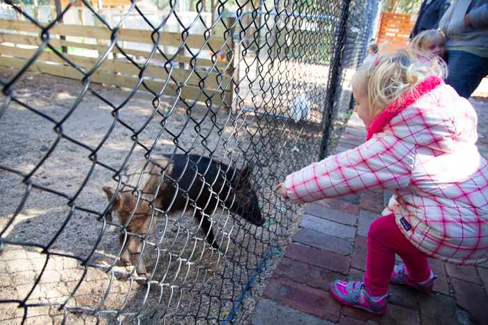 Cafe 2773 #glenbrook #bluemountains #sydney #Australia #kidfriendly #restaurants vi brunchwithmybaby.com