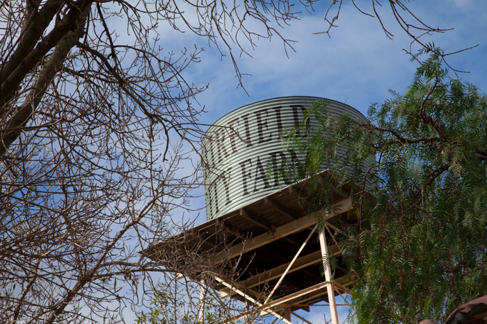 #Calmsley Hill City Farm via brunchwithmybaby.com