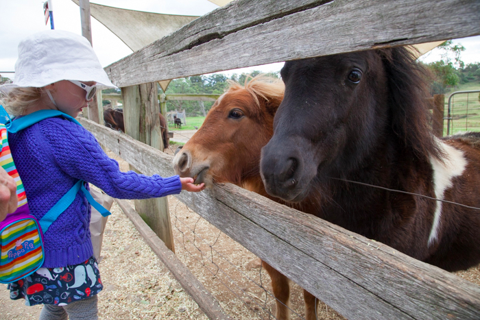 #Calmsley Hill City Farm via brunchwithmybaby.com