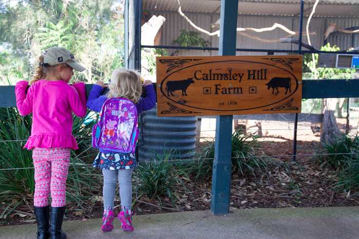 #Calmsley Hill City Farm via brunchwithmybaby.com