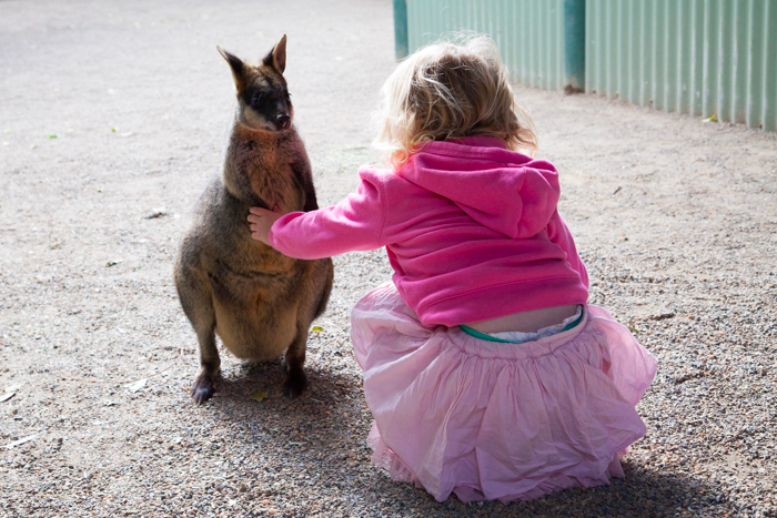 Featherdale #Wildlife Park #Sydney #Australia via brunchwithmybaby.com