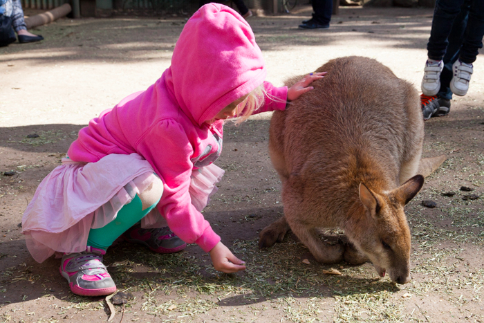 Featherdale #Wildlife Park #Sydney #Australia via brunchwithmybaby.com