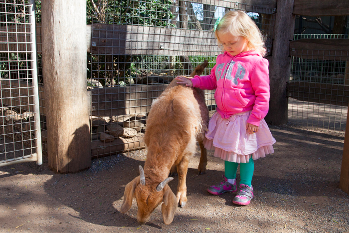 Featherdale #Wildlife Park #Sydney #Australia via brunchwithmybaby.com