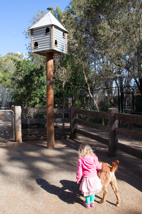 Featherdale #Wildlife Park #Sydney #Australia via brunchwithmybaby.com