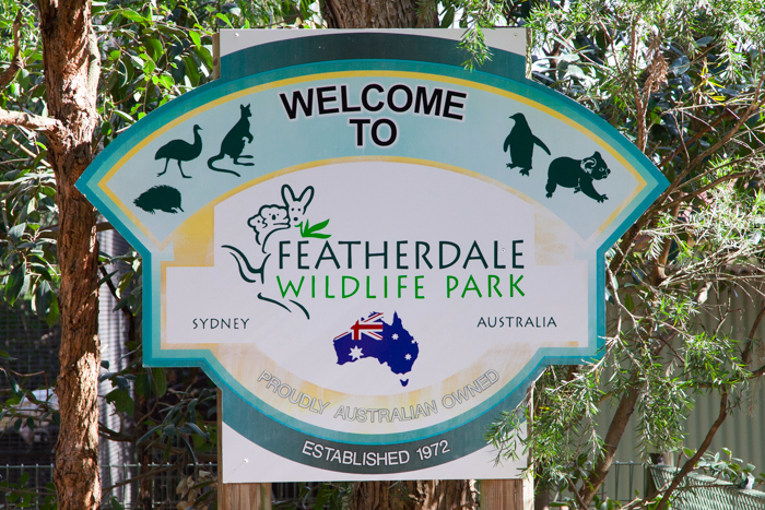 Featherdale #Wildlife Park #Sydney #Australia via brunchwithmybaby.com