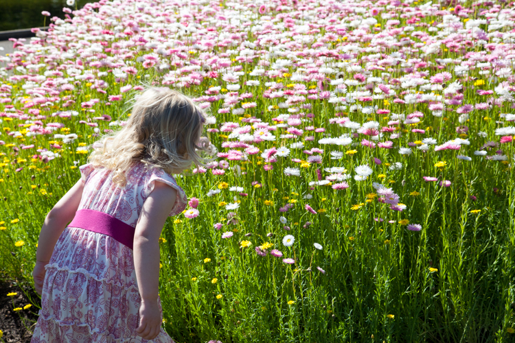 Royal Botanic Gardens via brunchwithmybaby.com